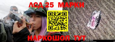 гидра Лесосибирск
