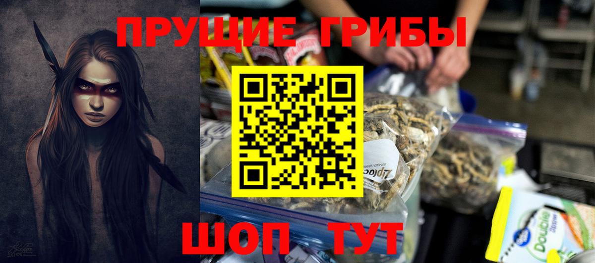 Галлюциногенные грибы Psilocybe  Вход с VPN  Чита  Галлюциногенные грибы мухоморы 